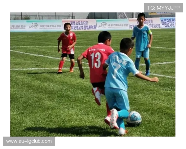 聚焦菁英杯足球赛参赛队伍实力与风采的全景深度透视权威特写报道